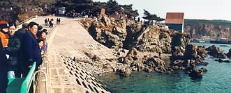 Harbour wall Tiger Beach.
